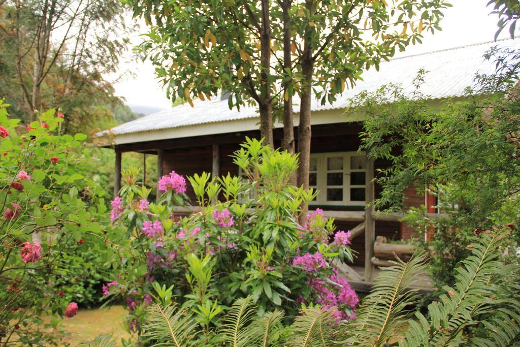 Posada Queulat Puerto Puyuguapi Oda fotoğraf