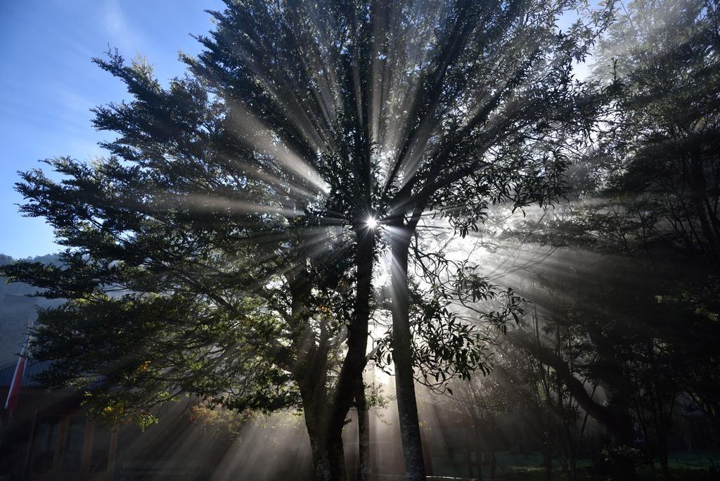 Posada Queulat Puerto Puyuguapi Dış mekan fotoğraf